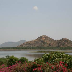 View at Lakeside, Tammil Nadu