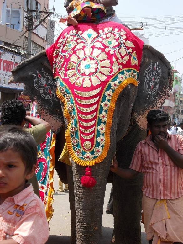 temple elephant in Dindigul, Tamil Nadu